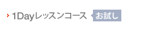 1Dayレッスンコース
