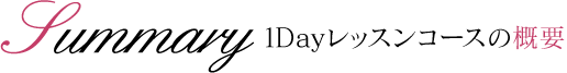1Dayレッスンコースの概要